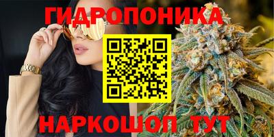 jwh Жуковский